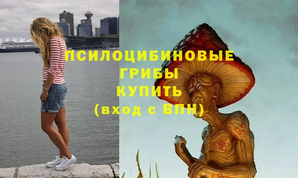 стаф Верея